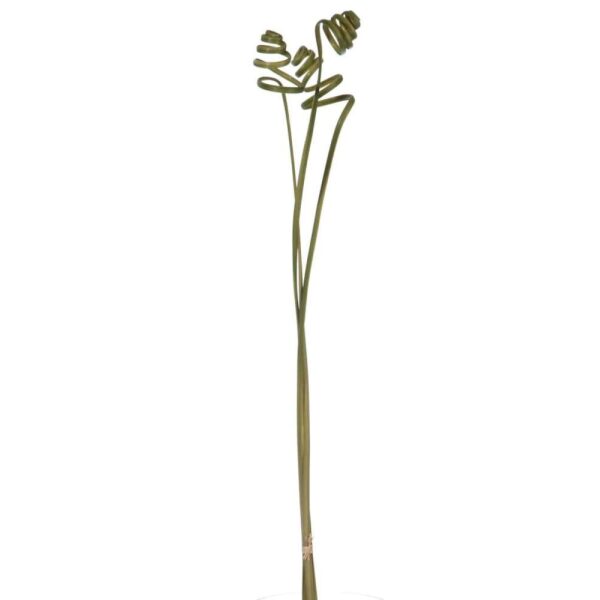 GRASS CURL 3 PARTS 100CM