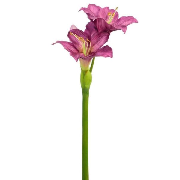 AMARYLLIS PURPLE 86CM