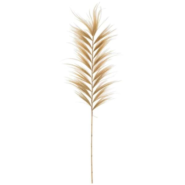 BRANCH RAYUNG GRASS NATURAL