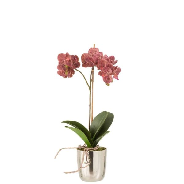 ORCHID IN POT PLASTIC/CEMENT DARK PINK/SILVER