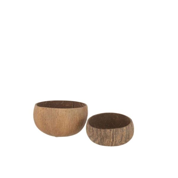 SET OF 2 HALF COCONUTS ROUGH