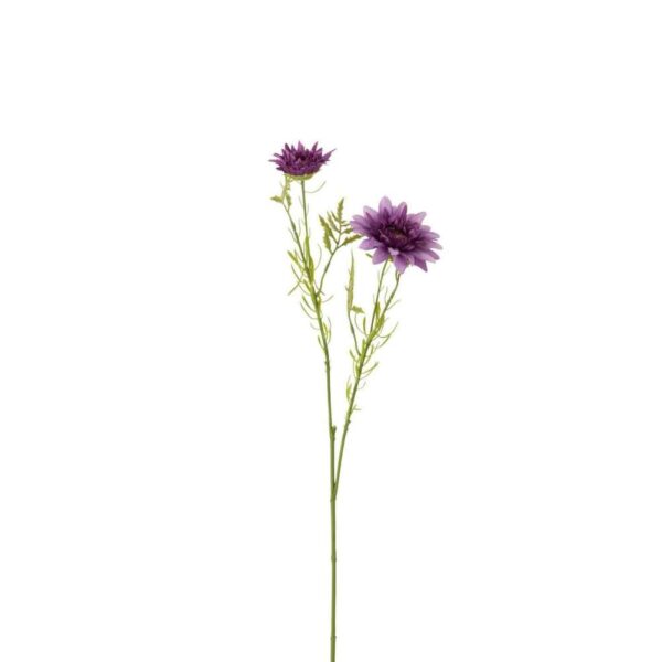 DAISY PLASTIC DARK PURPLE