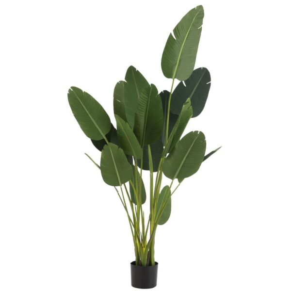 STRELITZIA PLASTIC GREEN LARGE