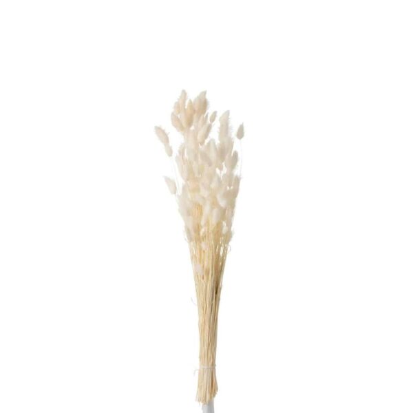 BUNDLE FEATHER BUNNYTAIL DRIED ECRU SMALL