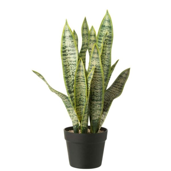 DRACAENA TRIFASCIATA IN POT ARTIFICIAL GREEN LARGE