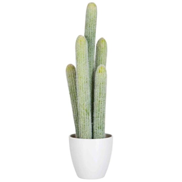 CACTUS 5 PARTS LIGHT GREEN