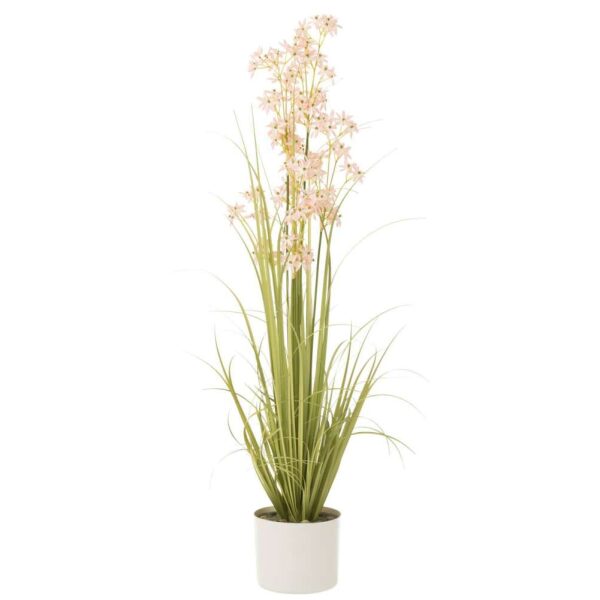 ALLIUM IN POT PLASTIC GREEN/LIGHT PINK LARGE