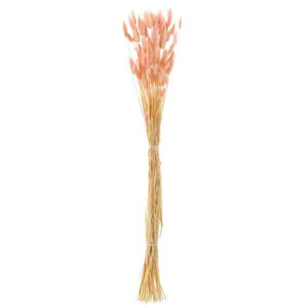 BUNDLE BUNNYTAIL DRIED LIGHT PINK
