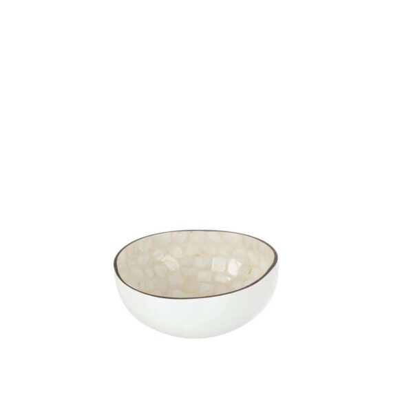 HALF COCONUT BALL NUYE NUT/PAINT WHITE