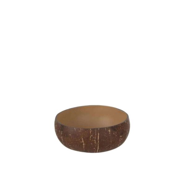 HALF COCONUT BALL NUYE NUT/PAINT BROWN