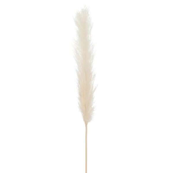 BRANCH FEATHER PAMPAS GRASS WHITE LARGE