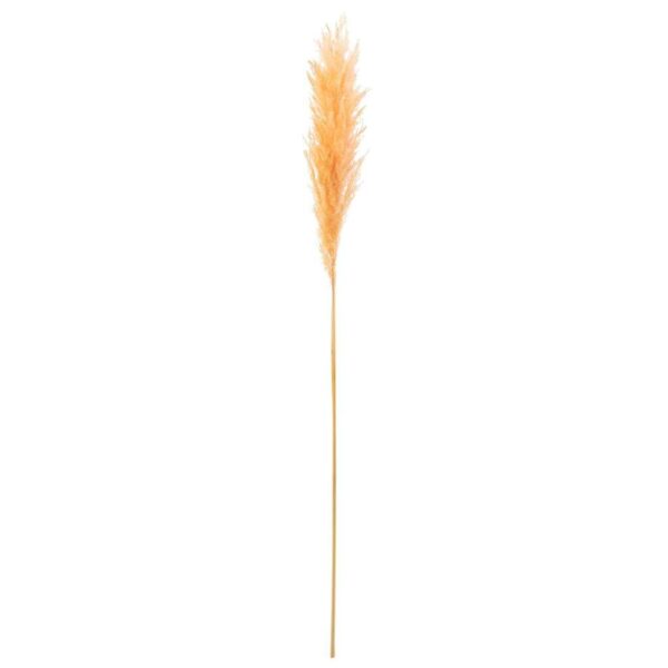 BRANCH PLUME PAMPAS LIGHT ORANGE