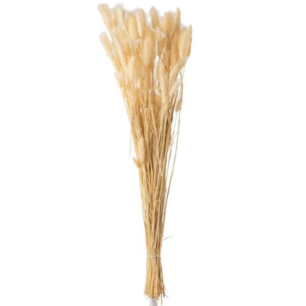 BUNDLE FEATHER BUNNYTAIL DRIED BEIGE