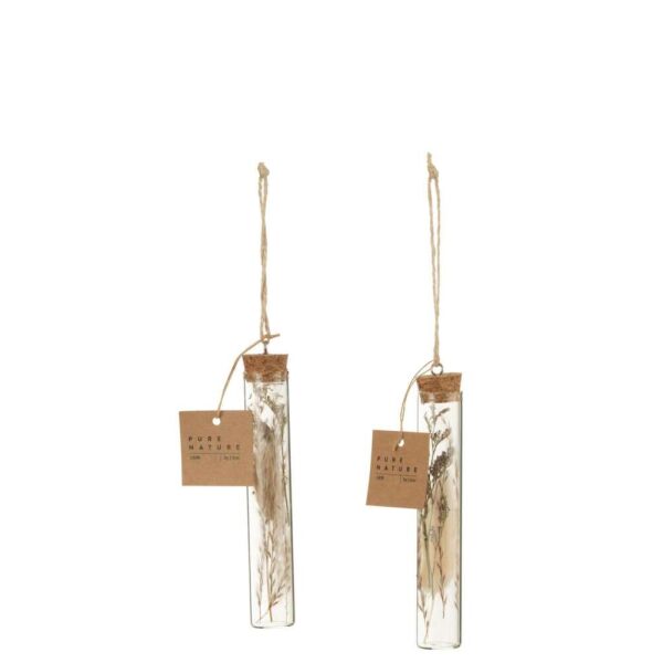HANGING TUBES WITH DRIED FLOWERS GLASS NATURAL ASSORTMENT OF 2