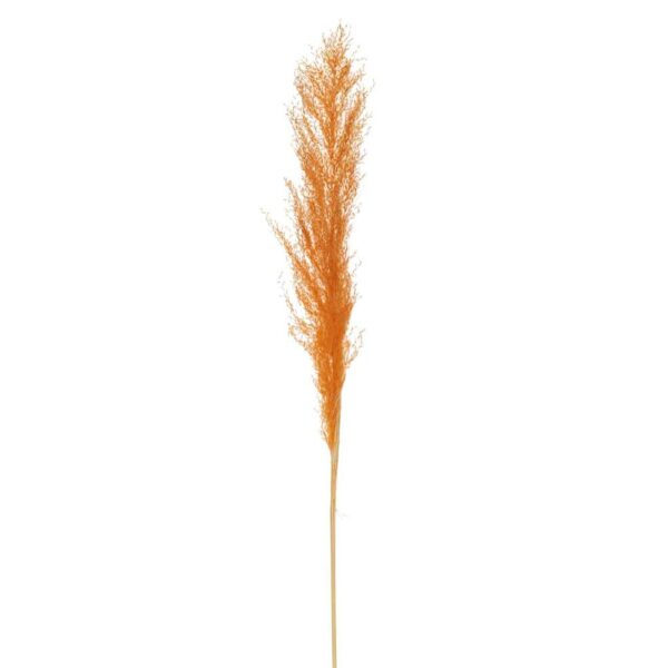 BRANCH FEATHER PAMPAS GRASS RUST ORANGE