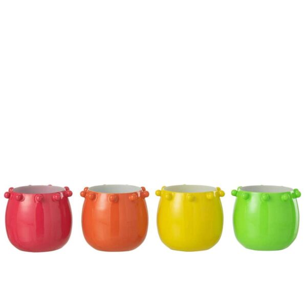 PHOTOPHORE CACTUS IRON MIX LARGE ASSORTMENT OF 4