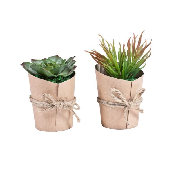 Planter S/2 14Cm