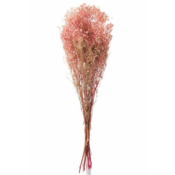 BUNDLE GYPSOPHILA DRIED PINK