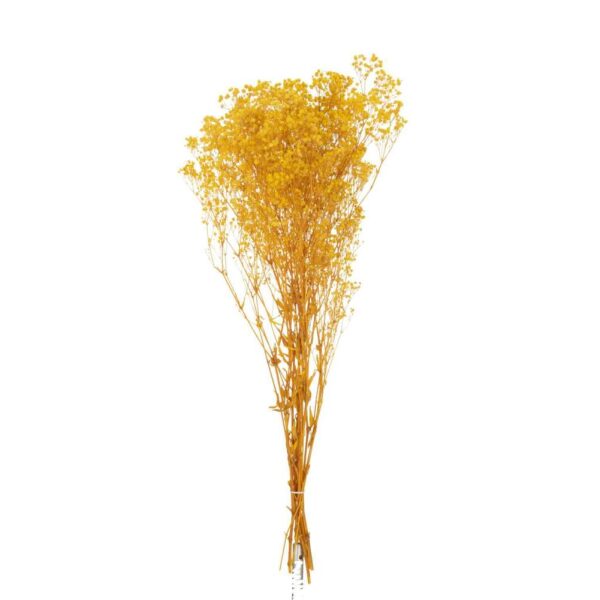 BUNDLE DRIED GYPSOPHILIA YELLOW
