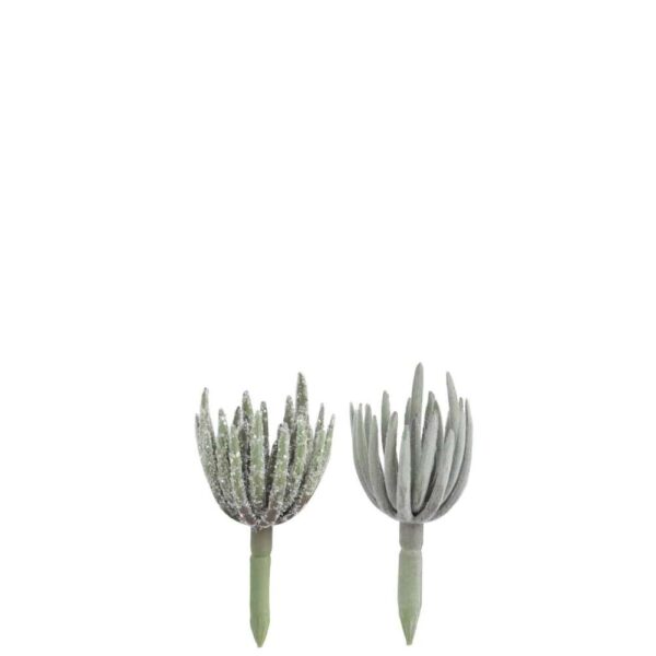 SUCCULENT ECHEVERIA PLASTIC GREEN S ASSORTMENT OF 2