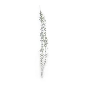 Plante Bønneplante For Heng 8X71Cm