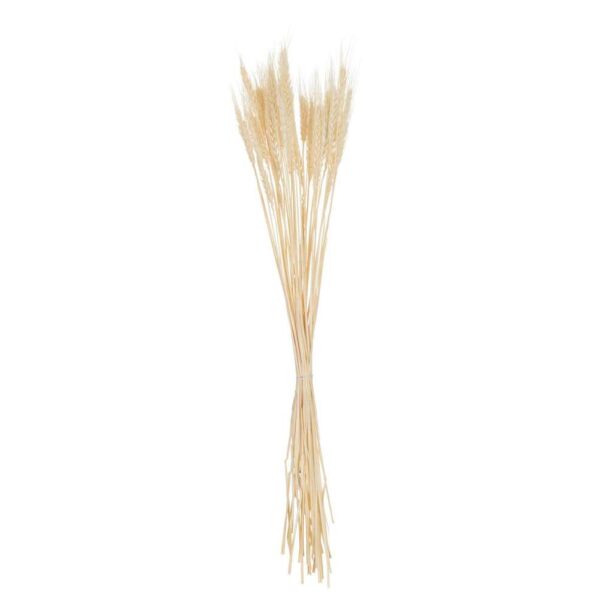 BUNDLE DRIED WHEAT ECRU