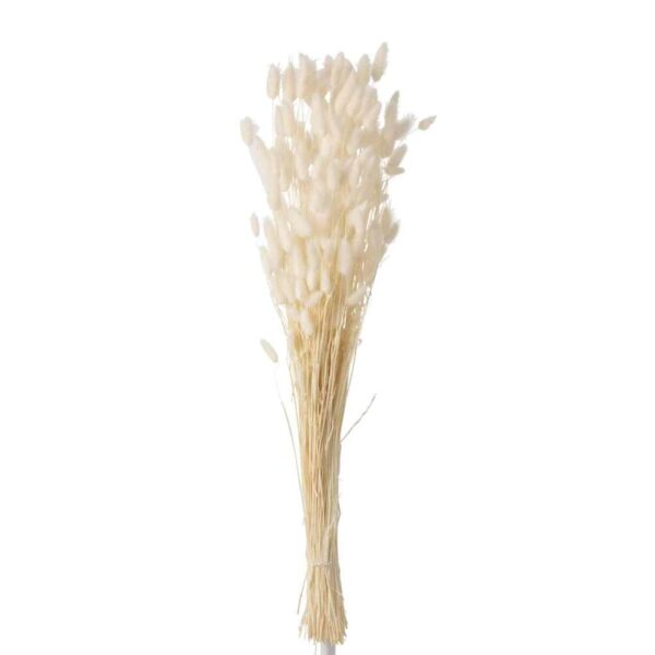 BUNDLE FEATHER BUNNYTAIL DRIED ECRU LARGE