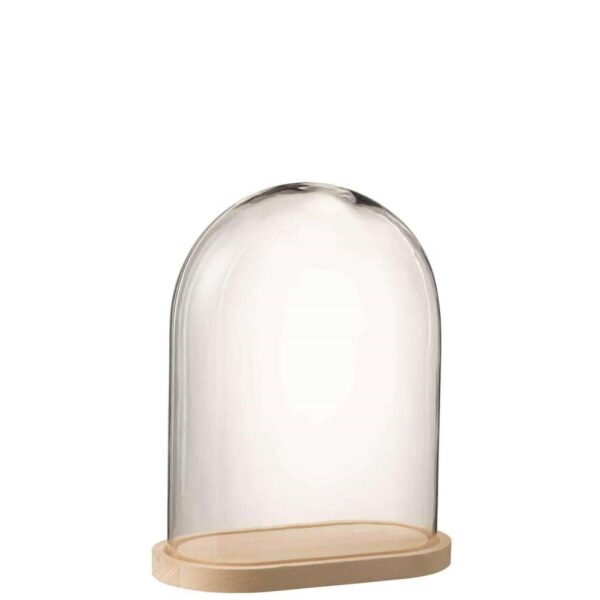 BELL JAR OVAL WOOD/GLASS TRANSPARENT/NATURAL SMALL