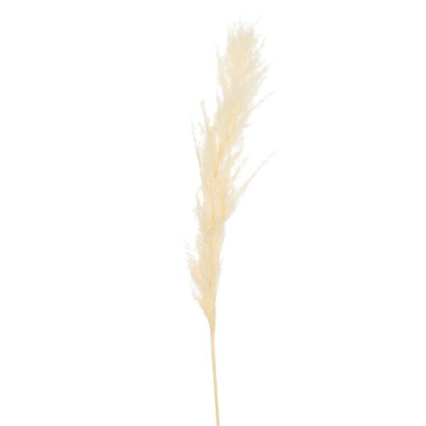 BRANCH FEATHER PAMPAS GRASS ECRU MEDIUM