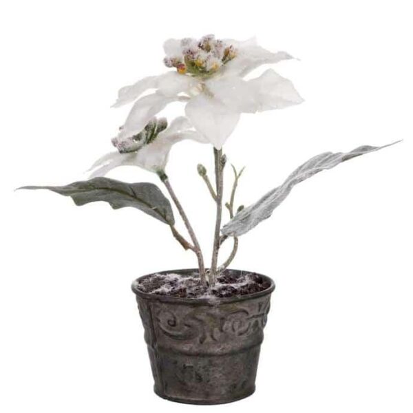 CHRISTMAS STAR IN POT WHITE SNOWY 19CM