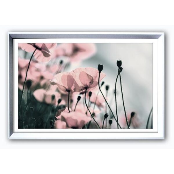 Bilde m/Ramme/Glass og passpartout. Blomstereng nr 2 - 36x56cm