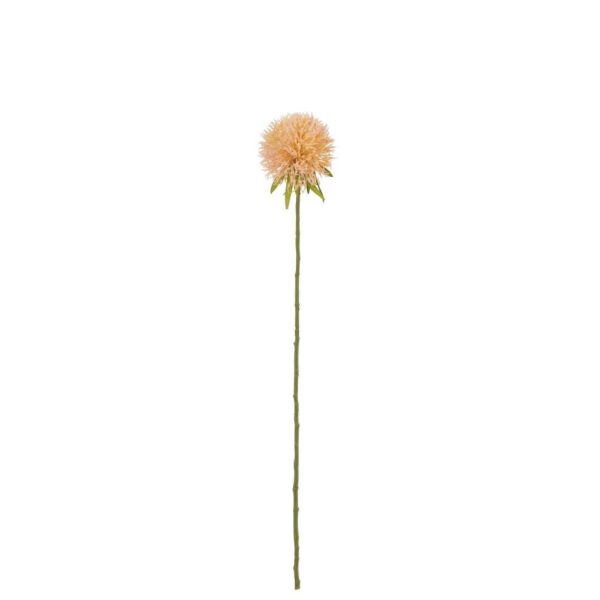 FLOWER ALLIUM PLASTIC PINK PEACH S