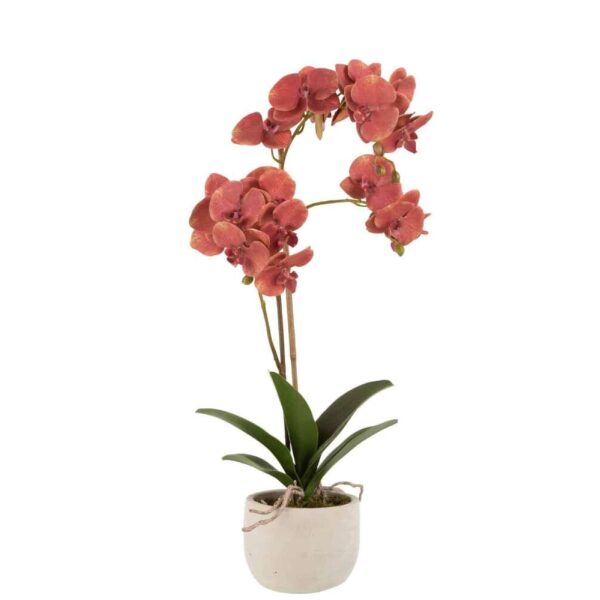 ORCHID IN POT PLASTIC/CEMENT DEEP RED/BEIGE