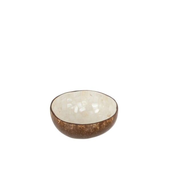HALF COCONUT BALL NUYE NUT/PAINT WHITE/BROWN