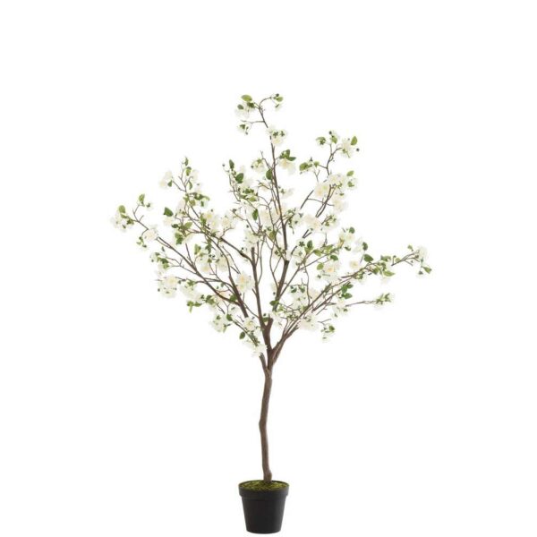 BLOSSOMTREE PLASTIC WHITE/BROWN LARGE