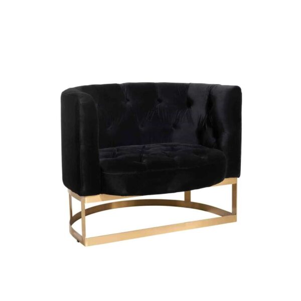 SOFA BUTTONS 1CUSHION WILSON 1PERSON VELVET METAL/BIRCH ANTHRACITE/GOLD
