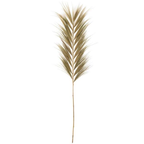 BRANCH RAYUNG GRASS NATURAL