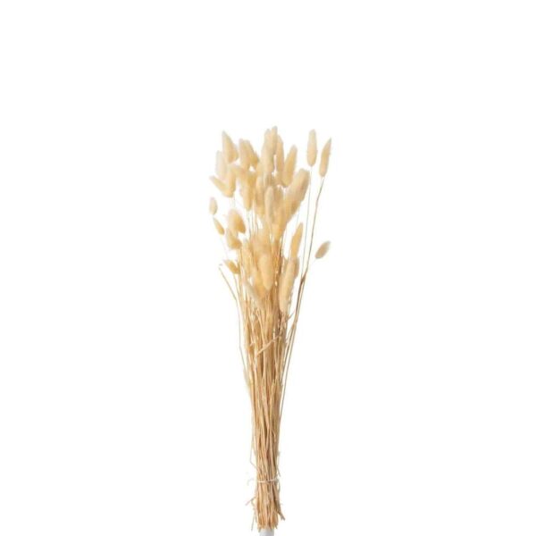 BUNDLE FEATHER BUNNYTAIL DRIED BEIGE
