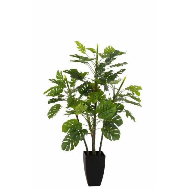 PHILODENDRON IN POT PLASTIC GREEN LARGE