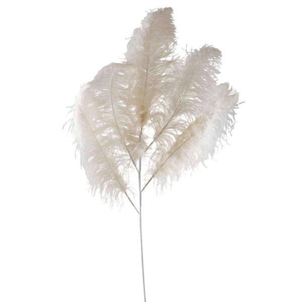 OSTRICH FEATHER 5PART CREAM LARGE