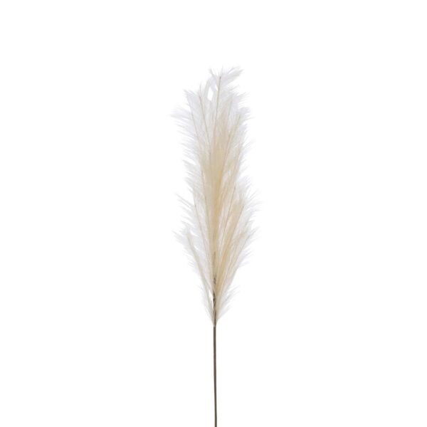 BRANCH PLUMEAU PLASTIC BEIGE MEDIUM