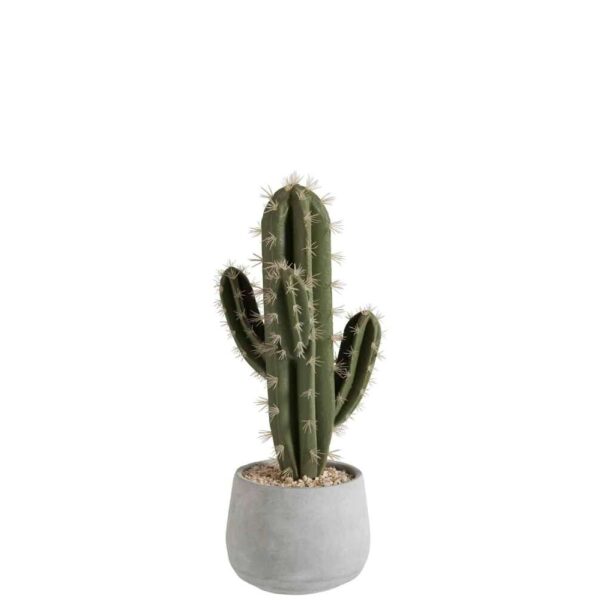 SUCCULENT+POT CEMENT GREEN