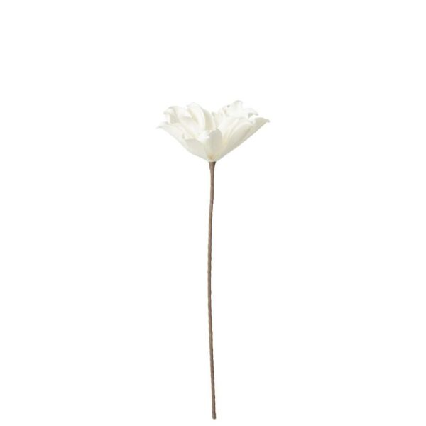 FLOWER BRANCH SHORT LEAVES 1 HEAD EVA WHITE