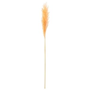 BRANCH PLUME PAMPAS LIGHT ORANGE