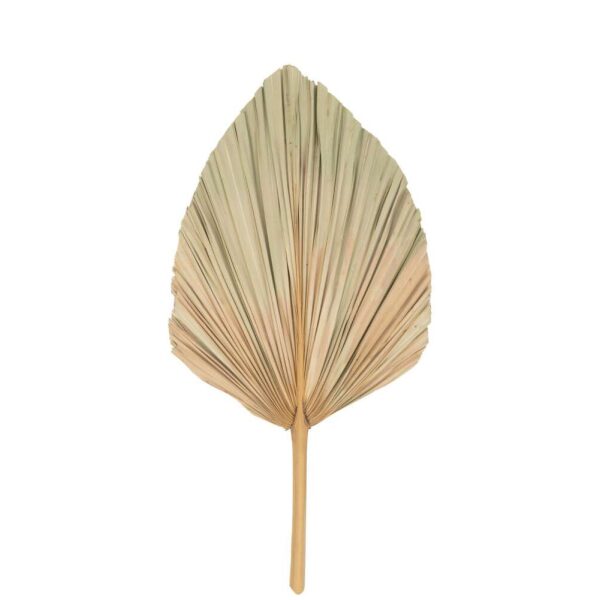 BANANA LEAF DRIED PLANT NATURAL