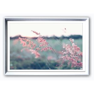 Bilde M/Ram/Gla. Blomstereng 1 -36X56Cm