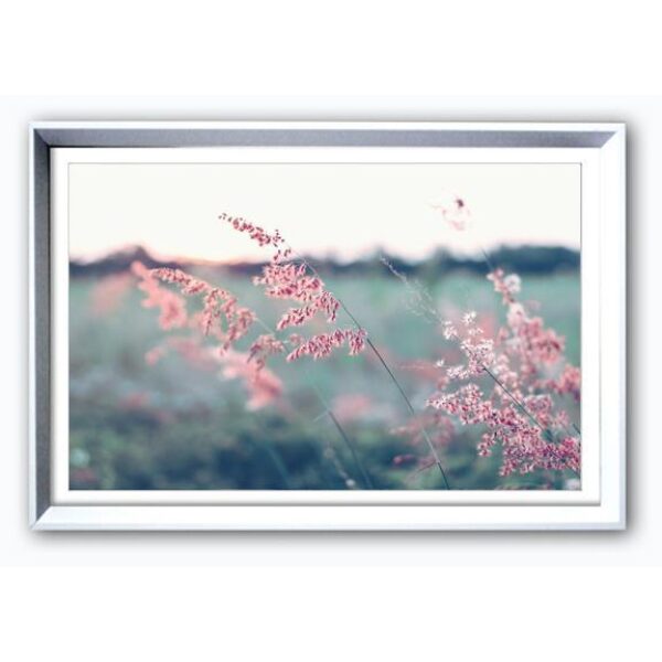 Bilde M/Ram/Gla. Blomstereng 1 -36X56Cm