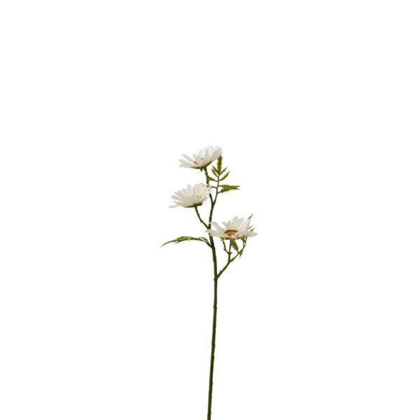 FLOWER DAISY PLASTIC WHITE