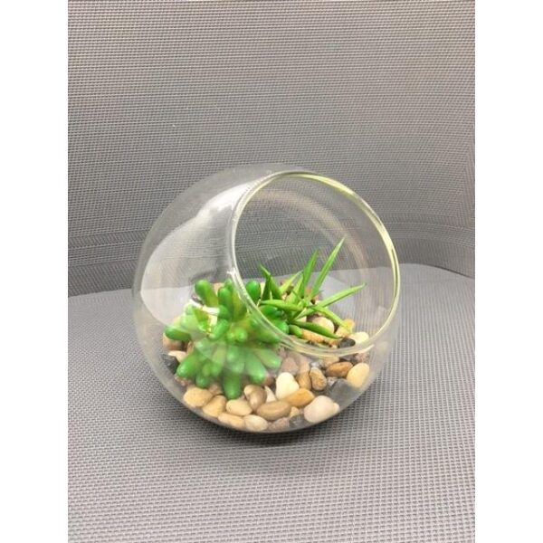 Plante i glassbolle 14x14x12 cm