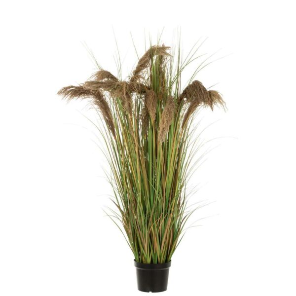 PAMPAS GRASS 13 HEADS IN POT PVC GREEN/BEIGE LARGE